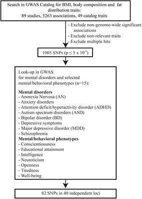 The Role of Genetic Variation of BMI, Body Composition, and Fat Distribution for Mental Traits and Disorders: A Look-Up and Mendelian Randomization Study